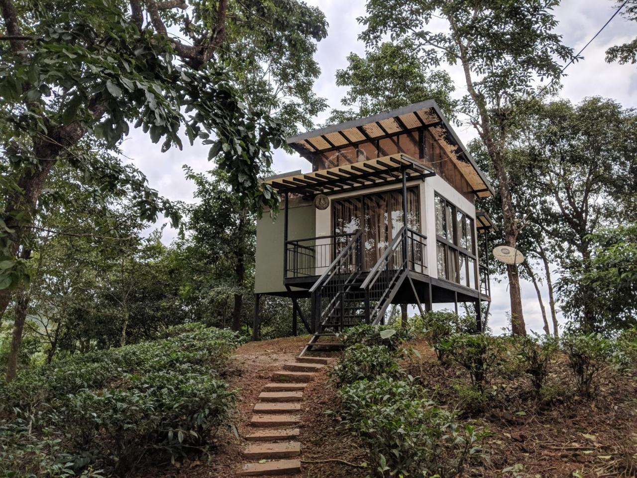 Chateau Woods Kalpetta Eksteriør billede